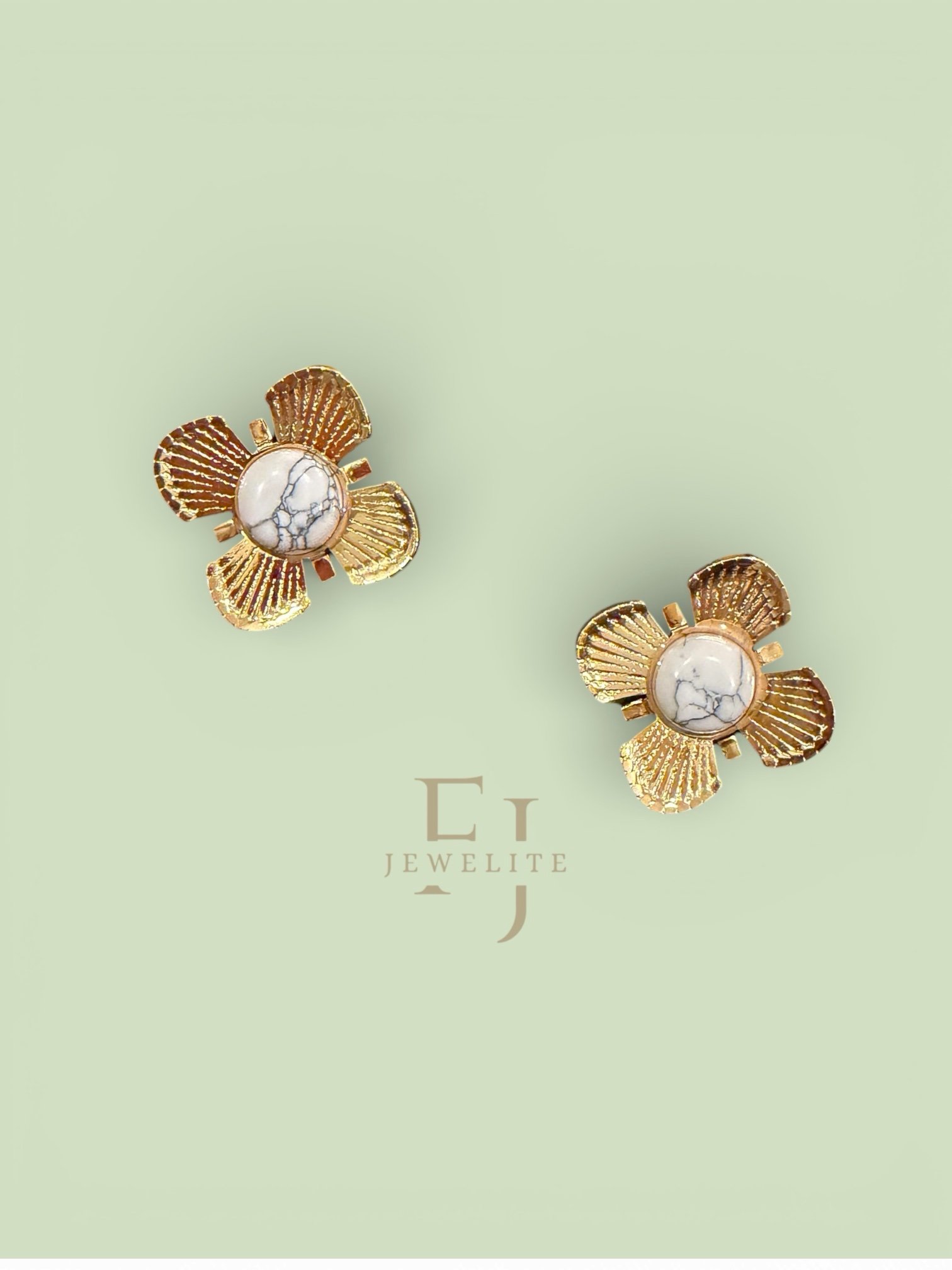 photoroom_20260224_182056